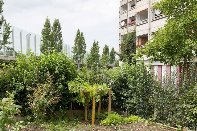Lausanne - Prix Schulthess des jardins 2015 aux plantages ... Image 1